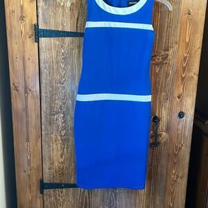 Lovely Polyester Sheath Dress